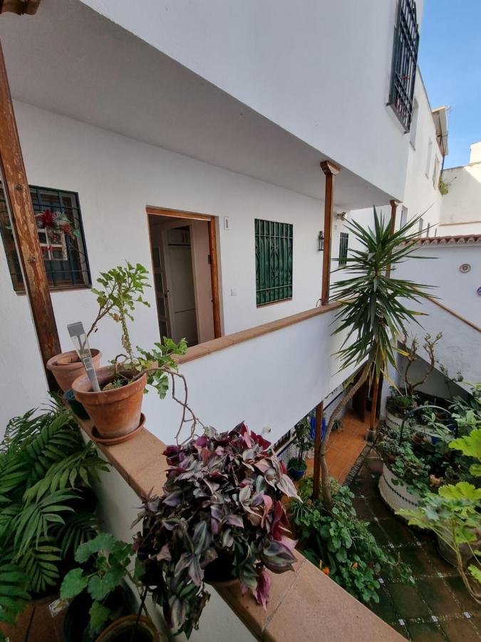 Apartamentos En Patio Cordobes San Basilio Кордова Экстерьер фото