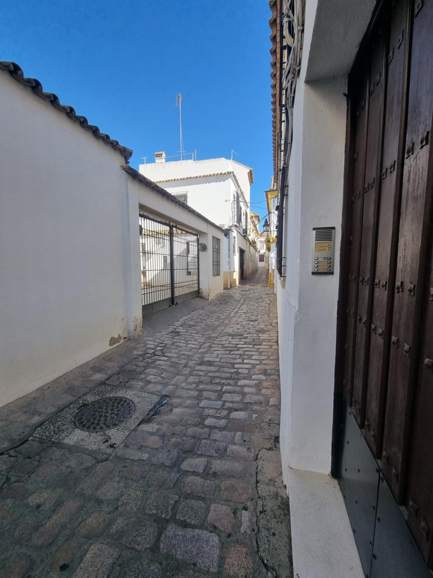 Apartamentos En Patio Cordobes San Basilio Кордова Экстерьер фото